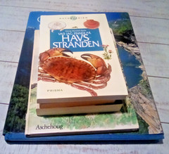 Norwegian and Icelandic Book Lot – Assorted Genres and Themes