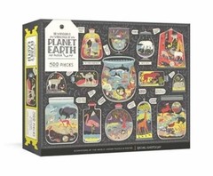 Rachel Ignotofsky Wondrous Workings of Planet Earth Puzzle (Poster)
