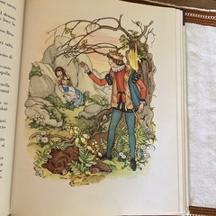 FIABE DI GRIMM Illus Klapschy Astro libri Topo Biblo 1979 12X9.5“ Beautiful