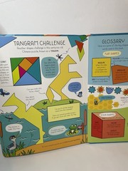 Usborne Math Shapes Lift-the-Flap Hardcover Ages 4-8 Activity Book Illustrated
