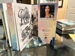 Kalyn Josephson The Library of Amorlin NEW Deluxe Limited Edition Hardcover/DJ