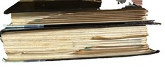 Wildlife Fact-File International Masters Publishers Illustrated Ring/Wire Bound