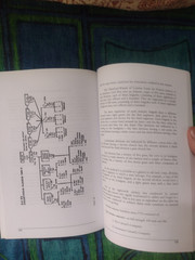 Donald Featherstone’s Advanced War Games Ideas for Wargaming