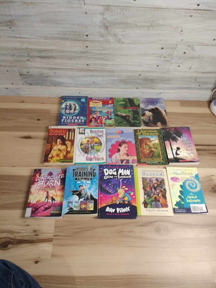 Children’s Books Lot (14) for ages 8-12 Scholastic & Mixed Homeschool paperback