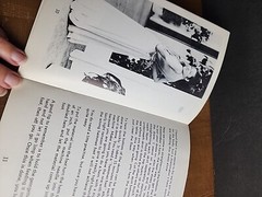 How To Make An Evening Dress Without Tears Judie Abbott Paperback Book 26 Pages