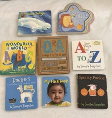 Toddler Board Book Bundle Sandra Boynton Baby Beluga ABC Books Ages 1-3
