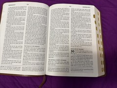 KJV Study Bible Large Print Thumb Indexed Red Letter 2011 Teal Inlay