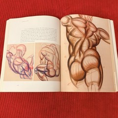 DYNAMIC ANATOMY: REVISED AND EXPANDED by Burne Hogarth—LIKE NEW