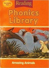 Houghton Mifflin Reading: The Nation’s Choice: Phonics Library (8 stories – GOOD