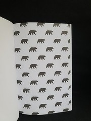 Anatomy of the Bear: Lessons from Wall Street’s Four Great Bottoms