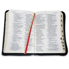 Biblia Letra Grande con Cierre y Concordancia Amplia RV1960 negro con indice