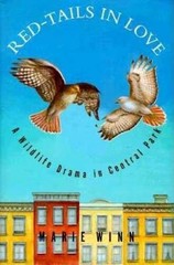 Red-Tails in Love: A Wildlife Drama in Central Park – Hardcover – GOOD