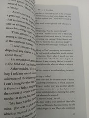 Theo of Golden By Allen Levi English PB