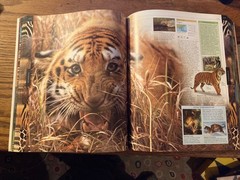 Smithsonian Institution Animal : The Definitive Visual Guide to the World’s…