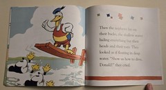 Donald Duck Book, 2007, Reprint of 1st DD Book Fr 1935, 24 Pgs, New Paperback