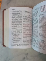 HCSB Large Print Compact Red Letter Bible Brown/Tan LeatherTouch by Holman