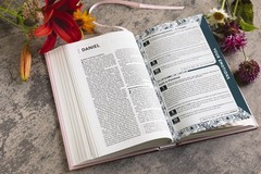 NIV, The Busy Mom’s Bible, Leathersoft over Board, Pink, Red Letter, Comfort…