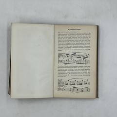 Vintage Field Book Of Wild Birds And Their Music Mathews HC Revised 1921 USA