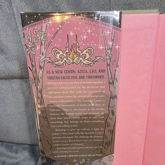 Rochelle Hassan The Summer Queen Hardcover 2024 Roaring Brook Press Buried Bound
