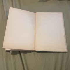 A Provence Rose 1900 By Ouida [Leather Bound]