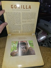 Dan Kainen Carol Kaufmann Safari: A Photicular Book HC Workman 1st Ed 2012
