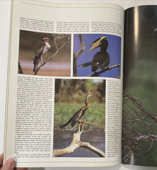 Tropical Rainforests of the World Rupert Matthews Nature Wildlife Photography