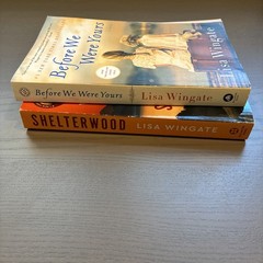 Lisa Wingate 2 Paperback Lot : Before We Were Yours and Shelterwood Tennessee