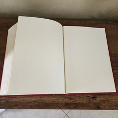 Ryrie Study Bible Expanded Ed NIV Red Letter Holy Word Moody Vtg 1994 HC