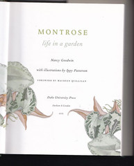 Montrose : Life in a Garden