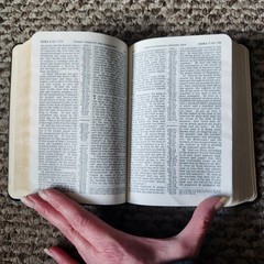 New World Translation Holy Scriptures 1984 Revised Bible Watch Tower Society