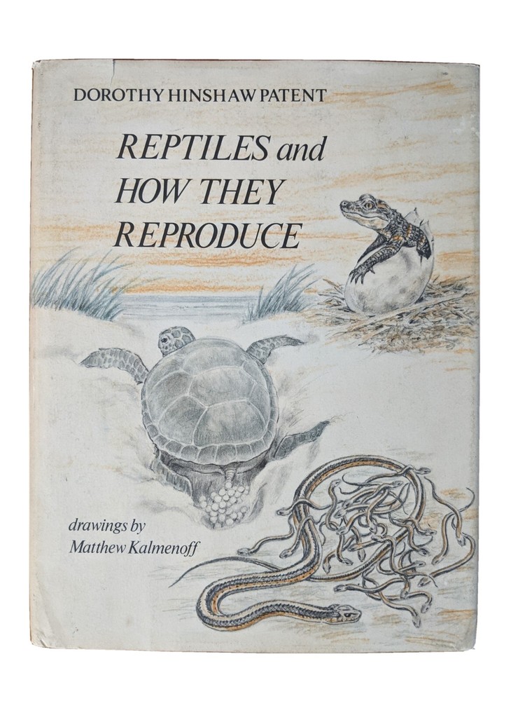 Reptiles and How They Reproduce HCDJ Dorothy Hinshaw Patent First Edition 1977