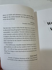 Cindy McGill Words that Work (Paperback) (UK IMPORT)