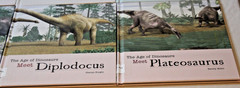 Lot 14 Library Bound Hardcover The Age of Dinosaurs Books