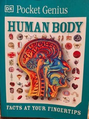DK Pocket Genius Ser. Cars & Human Body, Paperback, Ages 9-12, Illustrated