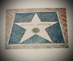 Never Can Say Goodbye: The Katherine Jackson Story by Vintage Pop Media Group