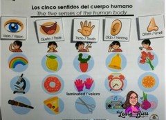 Learning Binder Kids 1 to 6 years / Carpeta de Aprendizaje niños 1 a 6 años