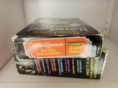 Goosebumps R.L. Stine Scholastic Lot Of 24 Vintage Horrorland Reprints