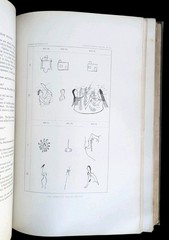 4th Annual Report of the Bureau of the American Ethnology 1882-83