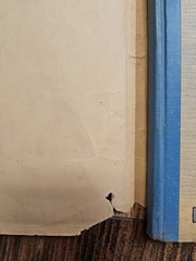 1935: First Edition Children Of The Northern Lights by Ingri & Edgar Parin