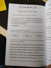 THE SHADOW WORK JOURNAL Guide Integrate & Transcend Your Shadows Self Help Book