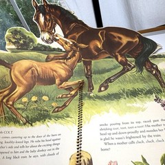 THE BIG JUMP UP FARM ANIMAL BOOK 1954 Huge Pop Ups Beautiful Illustrations