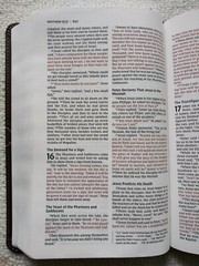 NIV Thinline Bible Elegant 9.4-point Print Size Words of Christ in Red Leatherso