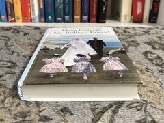 My Brilliant Friend – Elena Ferrante (2016 Hardcover) Thorndike Large Print! VG!