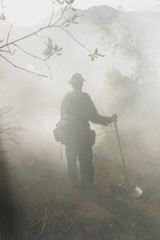 Firestorm 2003 San Diego Union Tribune Cedar Paradise Fire Wildfire Photos