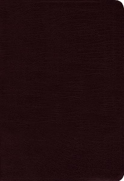 Quest Study Bible: New International Version, Burgundy, Bonded Leather, The …