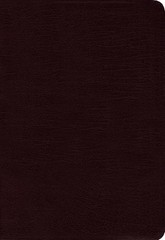 Quest Study Bible: New International Version, Burgundy, Bonded Leather, The …