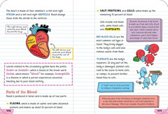 Everything You Need to Ace Biology in One Big Fat Notebook