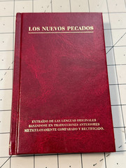 The New Sins Los Nuevos Pecados David Byrne Hardcover VG!