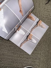 ANATOMY FOR ARTISTS: A VISUAL GUIDE TO THE HUMAN FORM By 3dtotal Publishing NEW