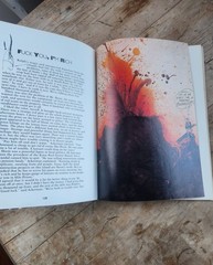 Hunter S Thompson The Curse of Lono Ralph Steadman 1983 Picador Gonzo Paperback